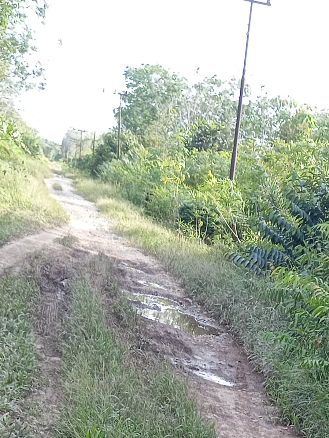 Ruas jalan rusak Mekar Tani ke Mendawai