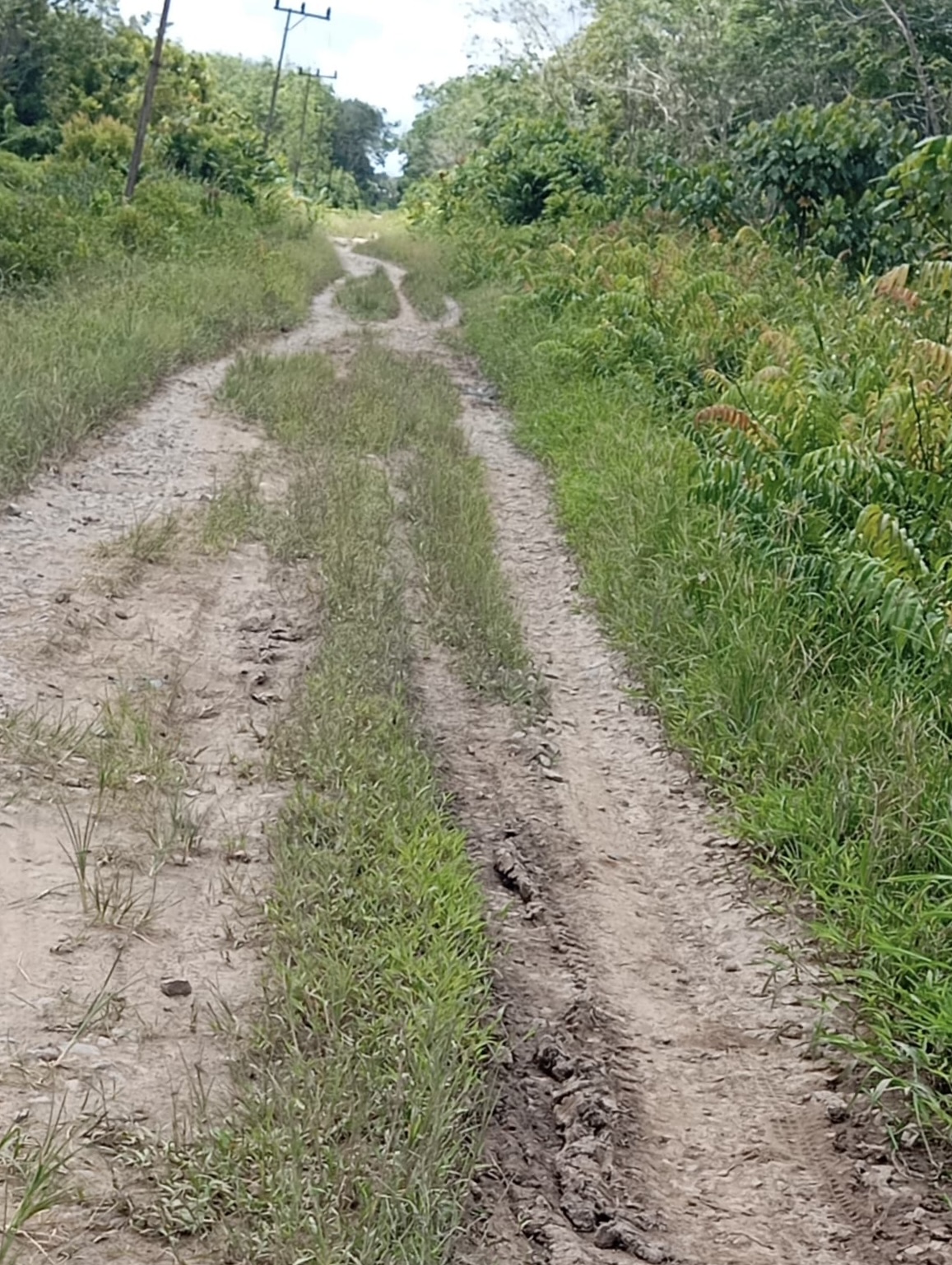 Jalan rusak berlumpur ruas Mekar Tani ke Mendawai